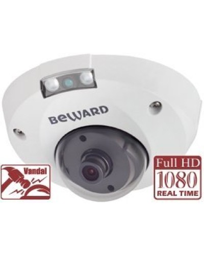 NK55630D8. IP-камера купольная. Beward в Керчи