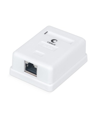 WS-8P8C-Cat.5e-SH-1 (7485c): Розетка RJ-45 в Керчи