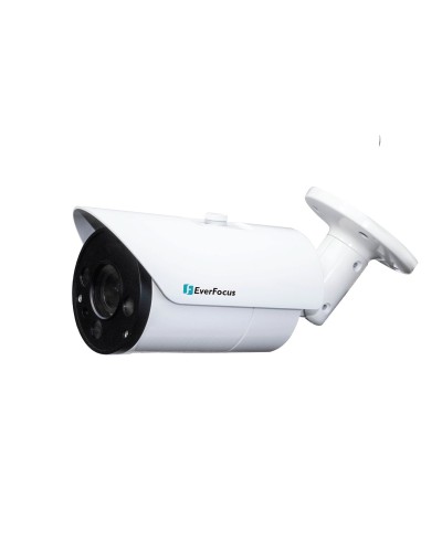 EZN-268V. Видеокамера IP купольная. EverFocus в Керчи
