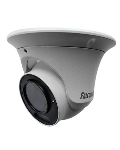 FE-IPC-DV5-40pa. Видеокамера IP купольная. Falcon EYE в Керчи