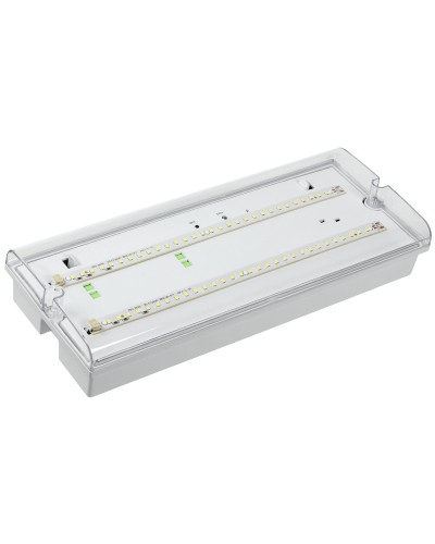 Светильник аварийный ДПА 5042-1 1ч IP65 LIGHTING (LDPA0-5042-1-65-K01). Светильник аварийный универсальный. IEK в Керчи