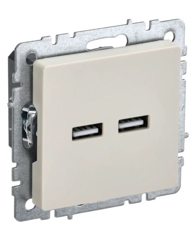 Розетка USB A+A 3,1А РЮ10-1-БрКр бежевый BRITE (BR-U21-D31-K10). Розетка USB. IEK в Керчи