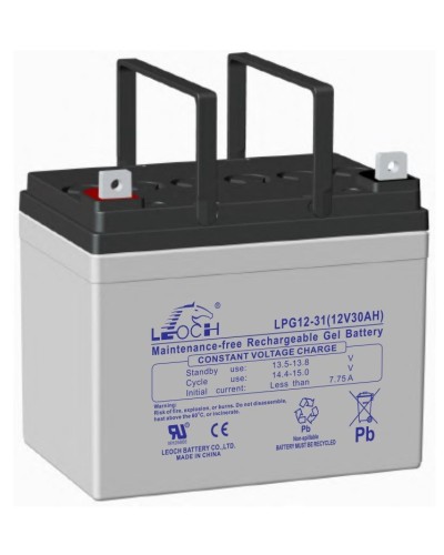 LEOCH LPG 12-31. Аккумулятор герметичный свинцово-кислотный. LEOCH в Керчи
