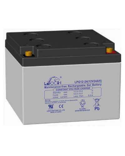 LEOCH LPG 12-24. Аккумулятор герметичный свинцово-кислотный. LEOCH в Керчи