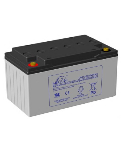 LEOCH LPG 12-65. Аккумулятор герметичный свинцово-кислотный. LEOCH в Керчи