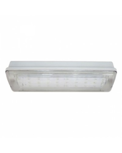 SL-213-30LED1.8 исп.1 IP54. Светильник аварийного освещения. ИП Раченков А.В. в Керчи