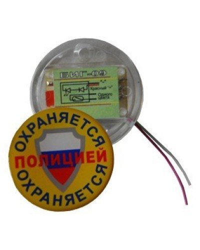 БИГ-09 н.р.. Индикатор прибытия наряда. ПЭАП (Альфатех-Центр) в Керчи