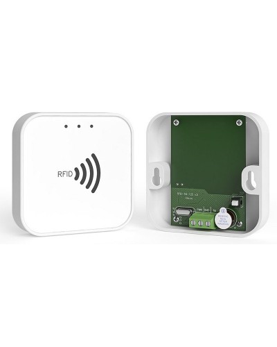 RFID-TM. Считыватель RFID. Ритм в Керчи