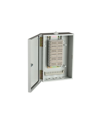 ШРН-В/100-Р (120908-00122). Шкаф ШРН-В/100-Р, плинт ПВТ-10Р-5е. ССД (Связьстройдеталь) в Керчи